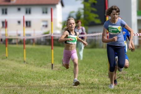 dndesign_6Tek_pod_Pohorjem-126 (Medium)